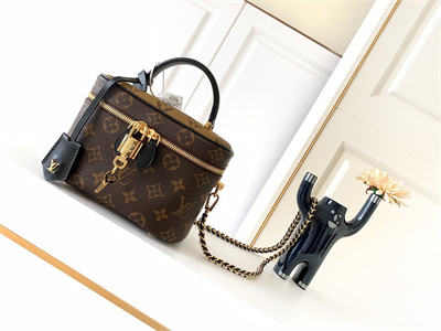 L.V Vanity PM Bag Monogram Canvas M45165