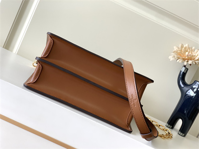 L.V Dauphine MM Bag Monogram Canvas M45958