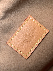 L.V Loop Bag Monogram Canvas M81098