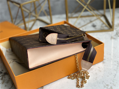 L.V Toiletry Pouch On Chain Monogram Canvas M81412