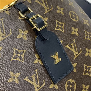 L.V Odéon MM Bag Monogram Canvas M45352