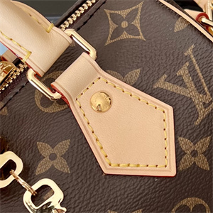 L.V Speedy Bandoulière 20 Monogram Canvas M45957