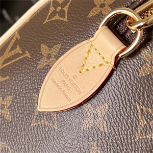 L.V Speedy Bandoulière 20 Monogram Canvas M46222