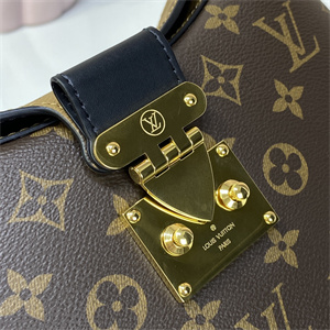 L.V Twinny Handbag Monogram Canvas M46659