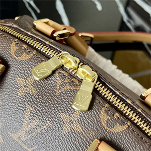 L.V Ribera Mini Boston Handbag Monogram Canvas M50202