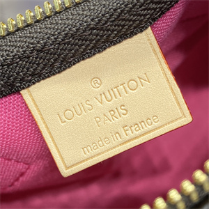 L.V Nano Speedy Monogram Canvas Vivienne M82624