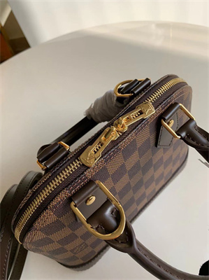 L.V Alma BB Bag Damier Ebene Canvas N40606