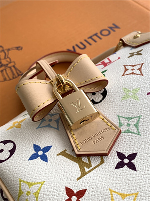 L.V x TM Speedy Bandoulière 25 Multicolored M13085 Top