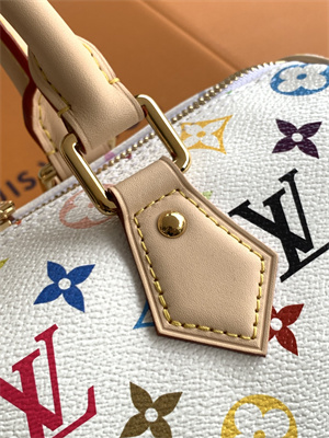 L.V x TM Speedy Bandoulière 25 Multicolored M13085 Top