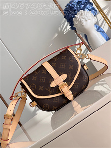 L.V Saumur BB Bag Monogram Canvas M46740