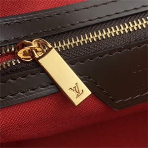 L.V Vintage Vavin Bag Damier Ebene Canvas