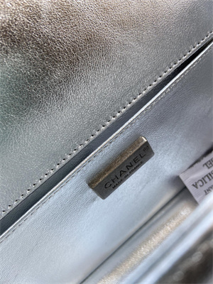 Cha.nel Medium Leboy Bag With Top Handle Python Leather Silver Metal A94804