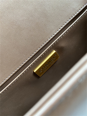 Cha.nel Medium Leboy Bag With Top Handle Python Leather Gold Metal A94804