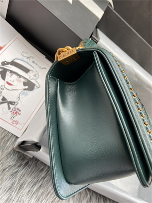 Cha.nel Medium Leboy Bag With Top Handle Python Leather Gold Metal A94804