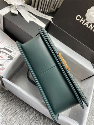 Cha.nel Medium Leboy Bag With Top Handle Python Leather Gold Metal A94804