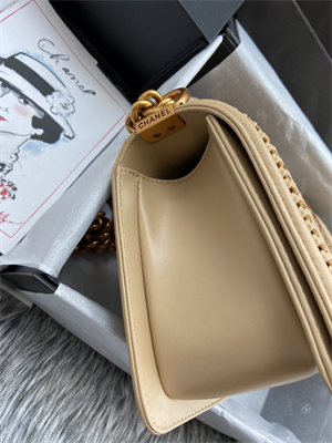 Cha.nel Medium Leboy Bag With Top Handle Python Leather Gold Metal A94804