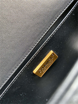 Cha.nel Medium Leboy Bag With Top Handle Python Leather Gold Metal A94804