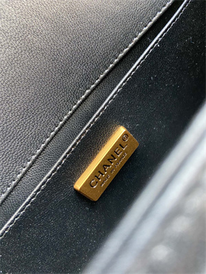 Cha.nel Medium Leboy Bag With Top Handle Python Leather Gold Metal A94804