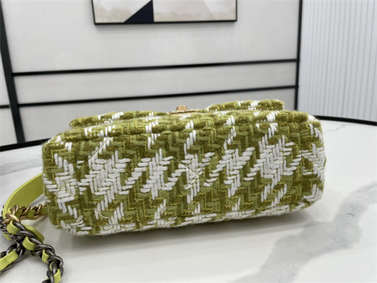 Ch*el 19 handbag wool tweed gold double c metal green/white as1160