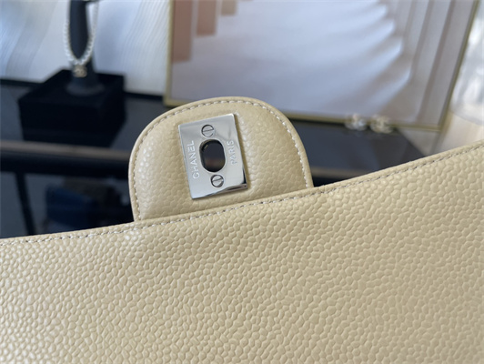 Cha.nel Medium Classic Flap Bag Grained Calfskin Silver Tone Metal Beige 01112 (Flap Edge Stitch)