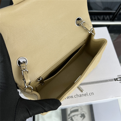 Cha.nel Mini Classic Flap Bag Grained Calfskin Silver Tone Metal Beige 01116