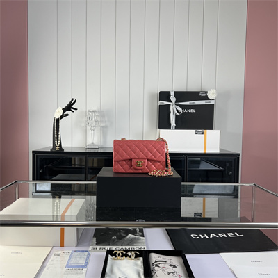 Cha.nel Mini Classic Flap Bag Lambskin Gold Tone Metal Pink 01116