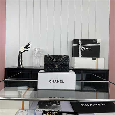 Cha.nel Small Classic Flap Bag Grained Calfskin Silver Tone Metal Black 01117