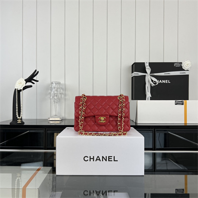 Cha.nel Small Classic Flap Bag Lambskin Gold Tone Metal Red 01117