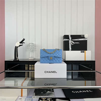 Cha.nel Small Classic Flap Bag Lambskin Gold Tone Metal Blue 01117