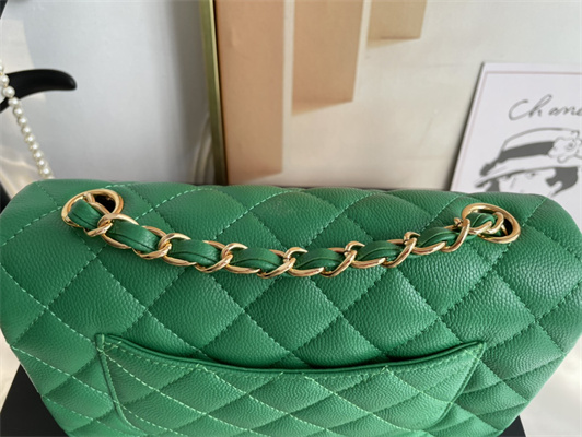 Cha.nel Mini Classic Flap Bag Grained Calfskin Gold Tone Metal Green 01116