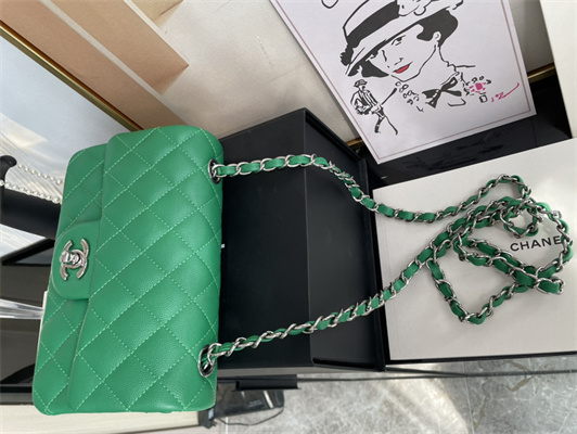 Cha.nel Mini Classic Flap Bag Grained Calfskin Silver Tone Metal Green 01116