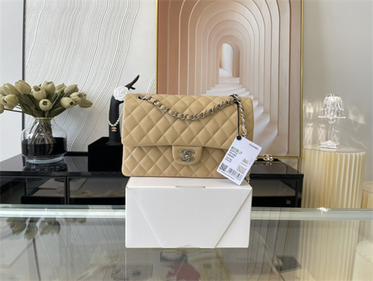 Cha.nel Medium Classic Flap Bag Lambskin Silver Tone Metal Beige 01112