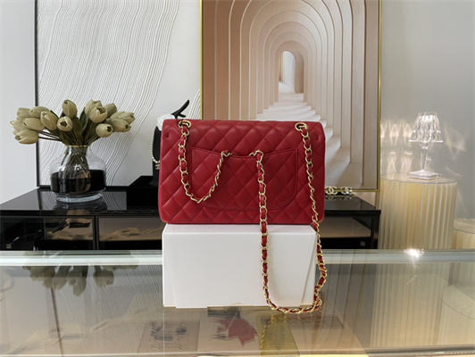 Cha.nel Medium Classic Flap Bag Lambskin Gold Tone Metal Red 01112