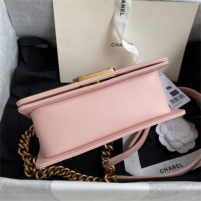 Cha.nel Small Leboy Bag Smooth Calfskin Aged Gold Metal Pink A67085