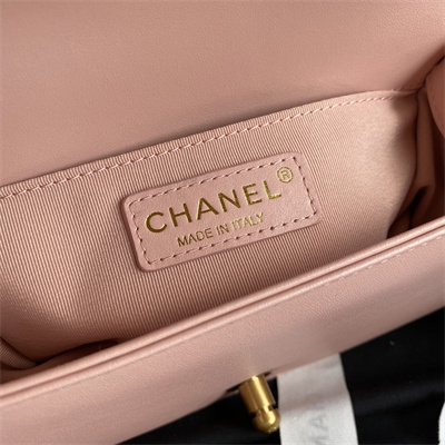 Cha.nel Small Leboy Bag Smooth Calfskin Aged Gold Metal Pink A67085