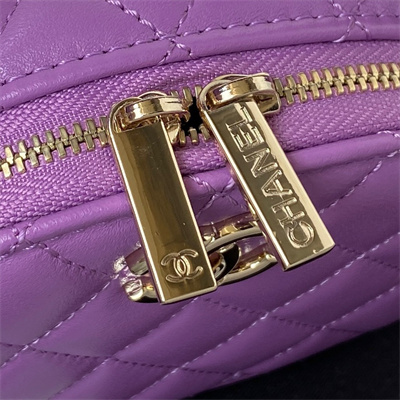 Cha.nel Vanity Case With Top Handle Lambskin Gold Tone Metal Purple AP2731