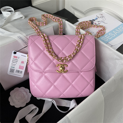 Cha.nel Backpack Lambskin Gold Tone Metal Pink AS3884