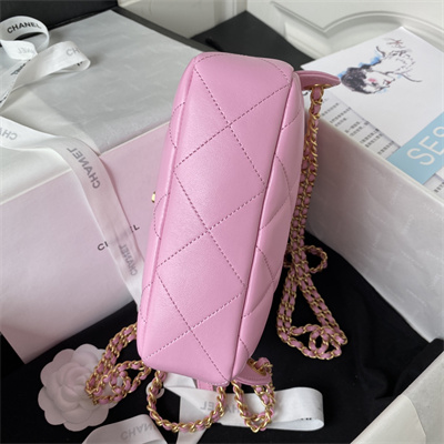 Cha.nel Backpack Lambskin Gold Tone Metal Pink AS3884
