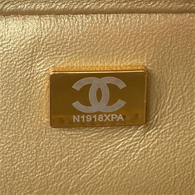 Cha.nel Backpack Lambskin Gold Tone Metal Black AS3884