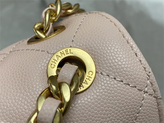 Cha.nel Backpack Grained Calfskin Gold Tone Metal Pink AS4490