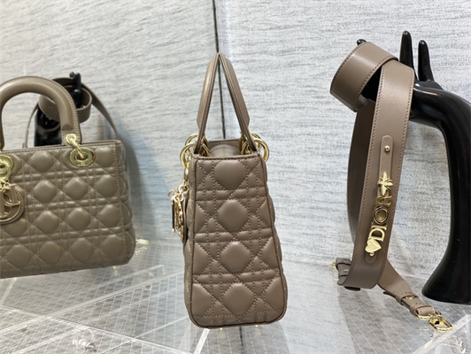 cd small lady di.or my abcD*or bag cannage lambskin enamel charms gold tone metal warm taupe