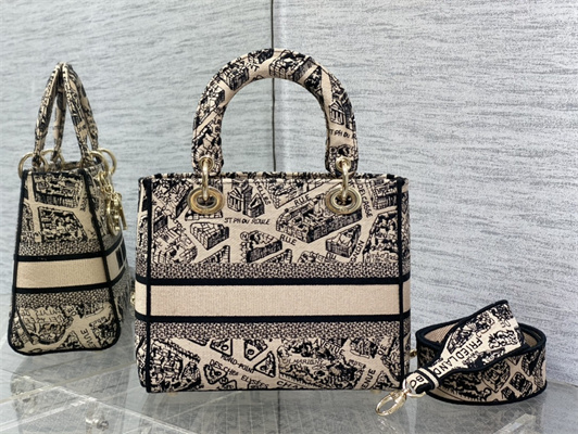 CD Medium Lady Di.or D-Lite Bag Plan de Paris Embroidery Beige and Black