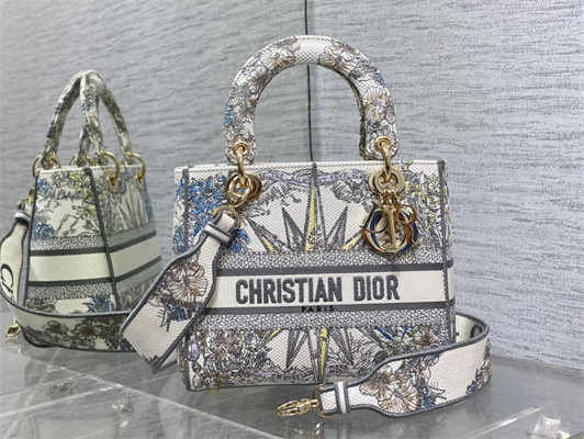 CD Medium Lady Di.or D-Lite Bag R??ve d’Infini  Embroidery White and Multicolor