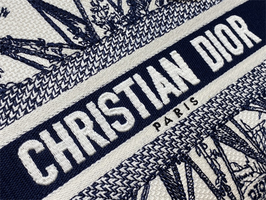 CD Medium Lady Di.or D-Lite Bag R??ve d’Infini  Embroidery Blue and White
