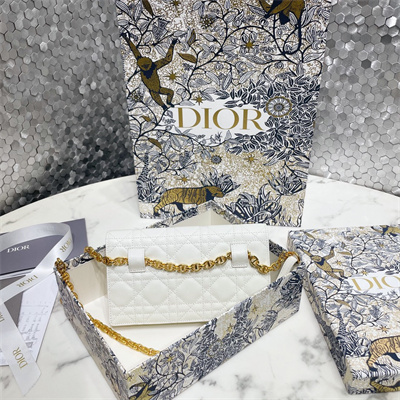 cd caro belt pouch with chain S*pple cannage calfskin gold tone metal white