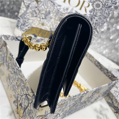 cd caro belt pouch with chain S*pple cannage calfskin gold tone metal black