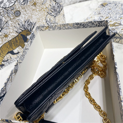 cd caro belt pouch with chain S*pple cannage calfskin gold tone metal black