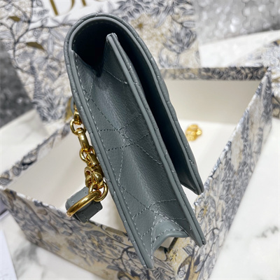 cd caro belt pouch with chain S*pple cannage calfskin gold tone metal stone grey