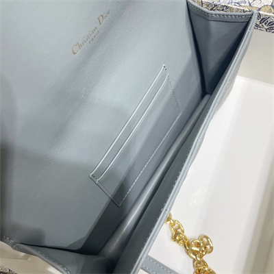 cd caro belt pouch with chain S*pple cannage calfskin gold tone metal stone grey