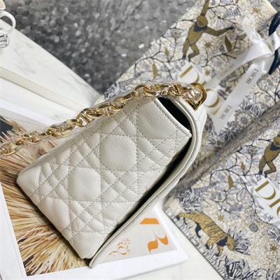 cd large di.or caro bag S*pple cannage calfskin gold tone metal white